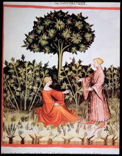 Collecting Celeriac, from Tacuinum Sanitatis Codex Vindobonensis by Italian School